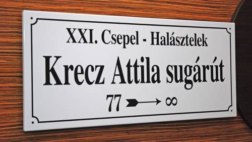 Születésnapi utcanév tábla 2 munkanap alatt 3