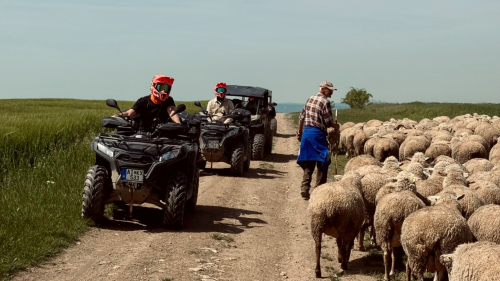 Élvezd a szabadságot a Balaton legextrémebb módján! – Buggy tereptúra túravezetővel 7