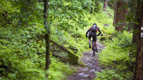 Mountain bike kerékpár túra a Mátrában 2