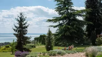 Arborétumi séta az egyedülálló Folly Arborétumban
