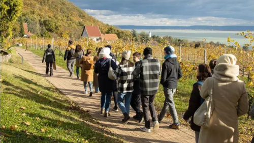 Birtokséta borkóstolóval – Kalandozás a tőkék között a Folly Arborétumban 3