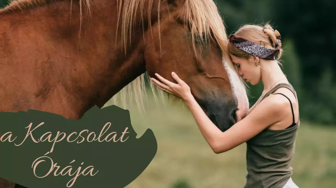 A Kapcsolat órája – Kiút a magányból lovak segítségével fő kép
