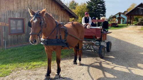 Pihenés pároknak a La Tia Maria tornácos parasztházban, az Őrségben 7