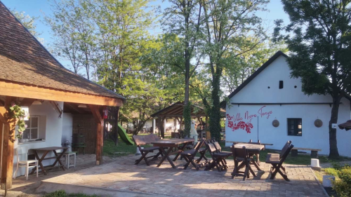 Csapatépítés a Villa Negra Tanyán a Tisza mentén 7