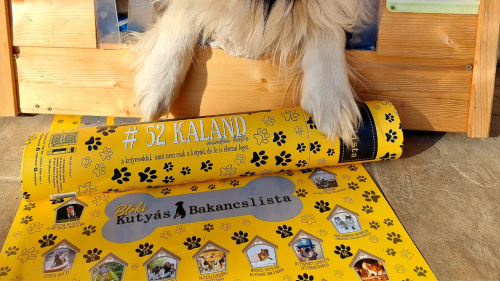 BLÖKI-A kutyás bakancslista 52 hétre/52 közös élmény kedvenceddel 3