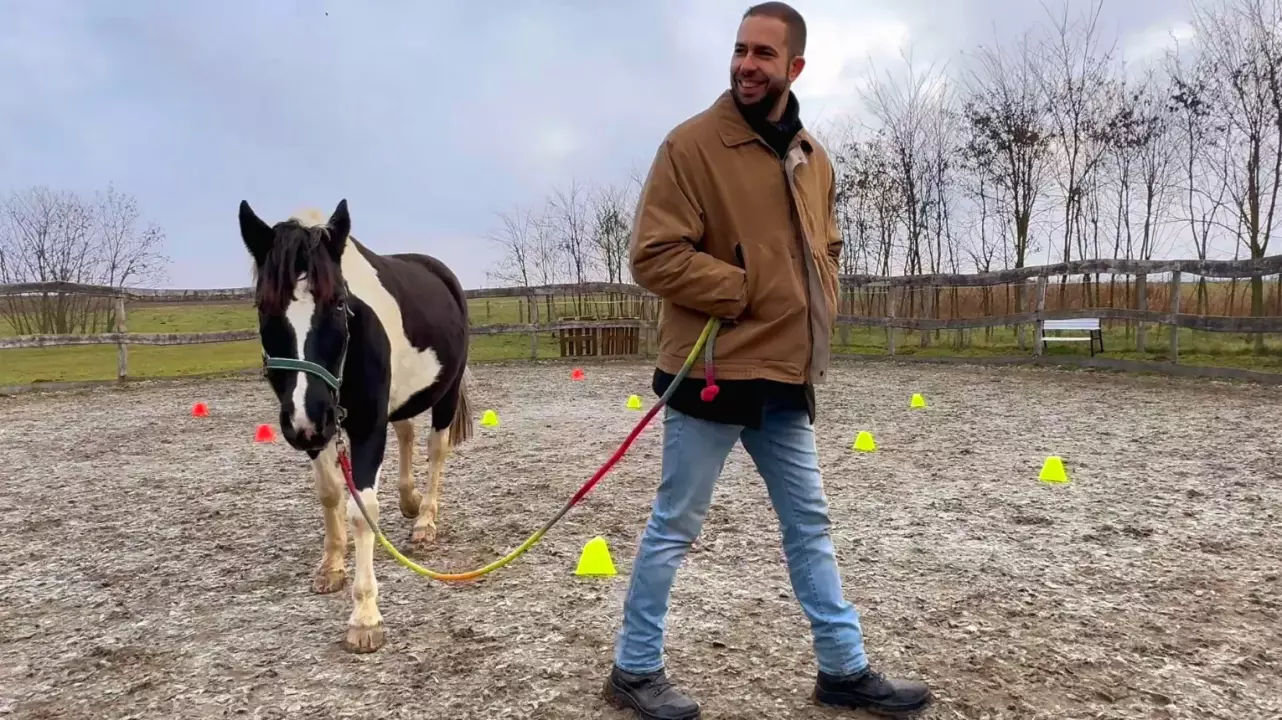 White Hors – Lóval asszisztált egyéni coaching fő kép