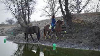 Állóképpé váló történet – Élményfotózás Akhal Teke lovakkal Ópusztaszeren!