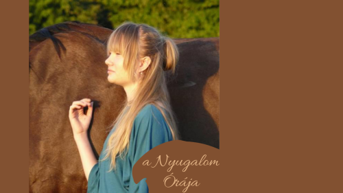 A Nyugalom órája – Stresszoldás lovak segítségével 1