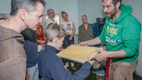 Családi látogatás az Óbudai mézerdő Méhészet izgalmas világába 3