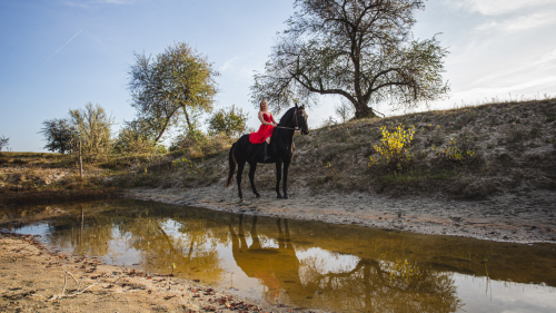 Tűzpirosba öltözött álom – Menyecske fotózás Akhal Teke lovakkal Ópusztaszeren! 3