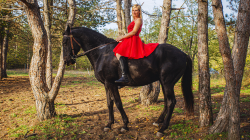 Tűzpirosba öltözött álom – Menyecske fotózás Akhal Teke lovakkal Ópusztaszeren! 6