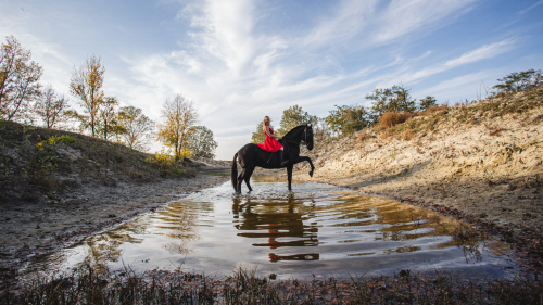 Tűzpirosba öltözött álom – Menyecske fotózás Akhal Teke lovakkal Ópusztaszeren! 13