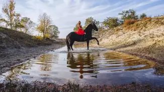 Tűzpirosba öltözött álom – Menyecske fotózás Akhal Teke lovakkal Ópusztaszeren!