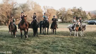 Családi sétalovaglás a Wackor Tanyán a Dunaparton