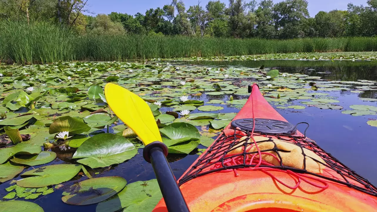 Természet, élmények, szabadság! – Tisza-tavi kenus vízitúra (Gyerekeknek) fő kép