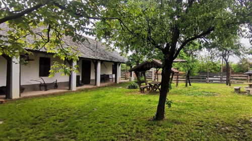Csapatépítés a Villa Negra Tanyán a Tisza mentén 19